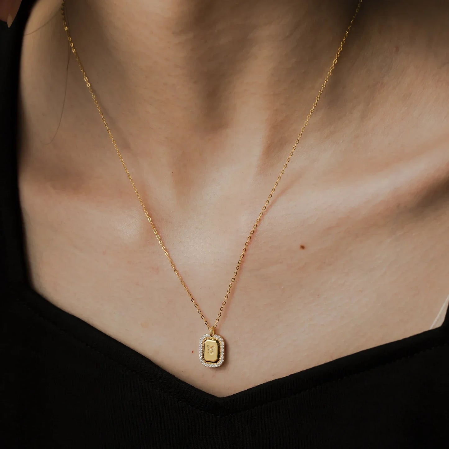 12 Signos del Zodíaco Zirconia Necklace (18K Gold Plated)