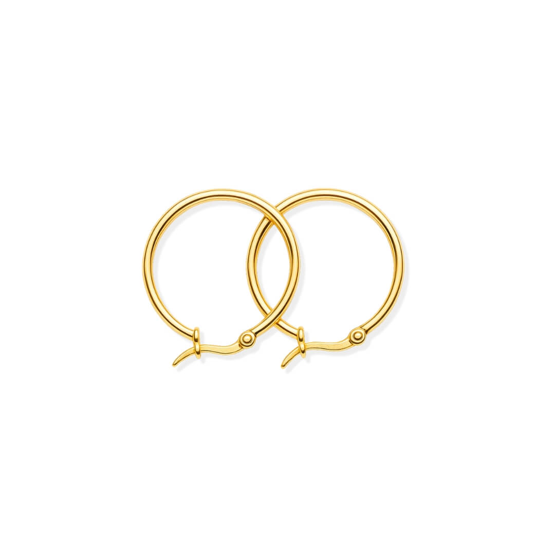 Aro Classic Earring (Gold Plated)