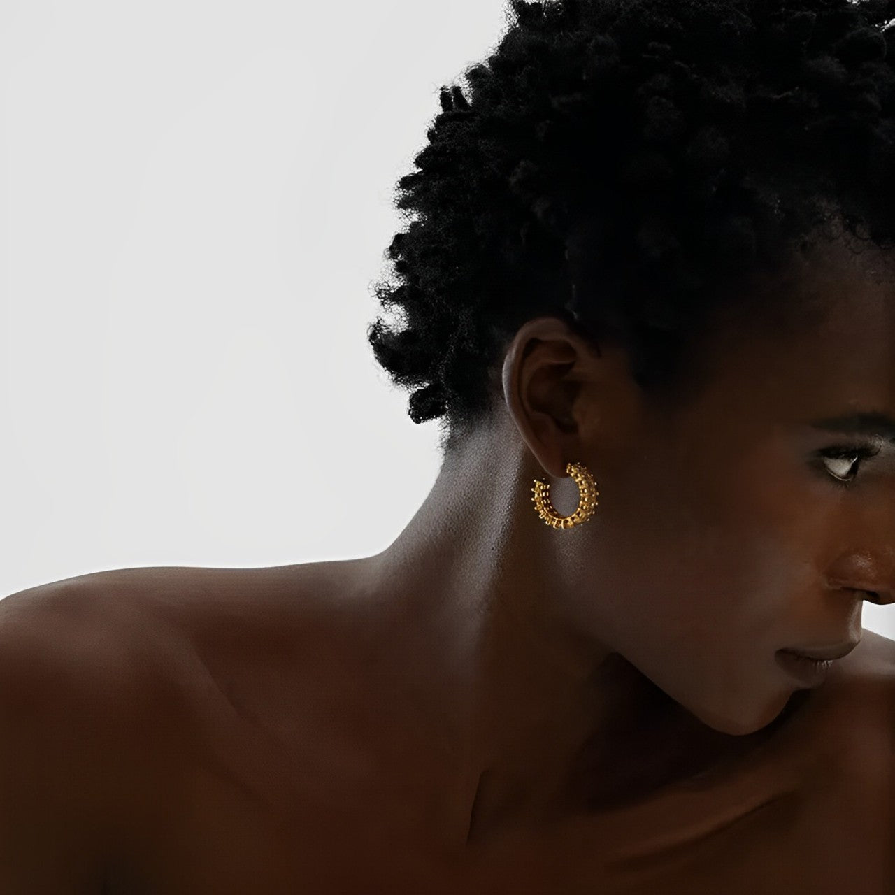 Aro Serena Zirconia Earring (18K Gold Plated)