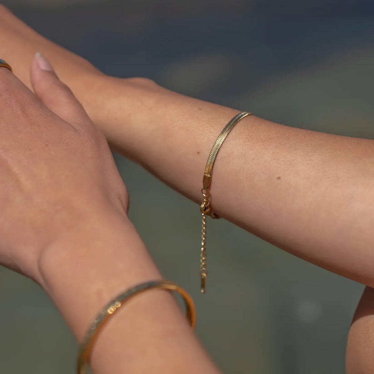 Snake Mallada Bracelet (Chapada in Gold)